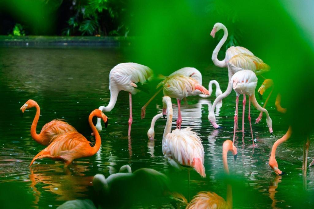 Lake Piedmont International Hotel Guangzhou Luaran gambar